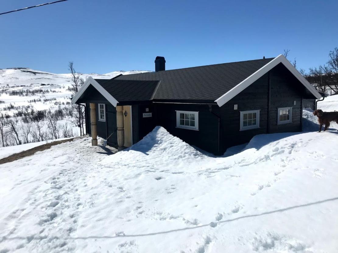 Berntebu Villa Uvdal Екстериор снимка