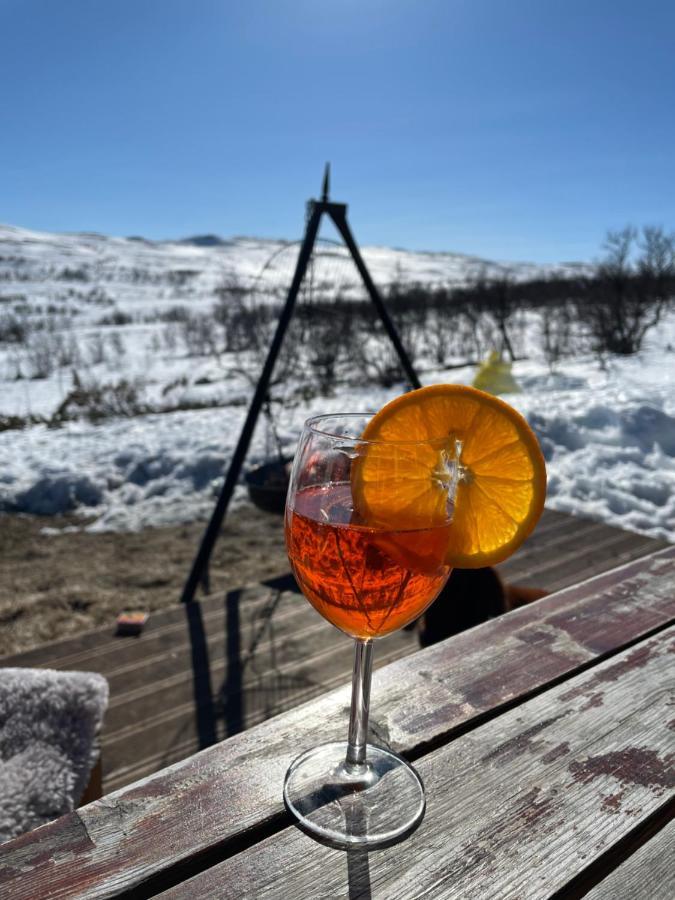 Berntebu Villa Uvdal Екстериор снимка
